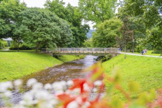A quiet river with a small bridge, surrounded by green trees and colourful flowers, invites you to