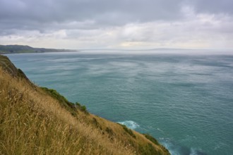 Wide sea view with grassy coast under cloudy sky, summer, Nugget Point lighthouse, Ahuriri Flat,