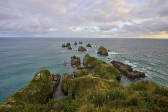 View of a rocky coastal landscape with dramatic cloudy sky, summer, Nugget Point lighthouse,