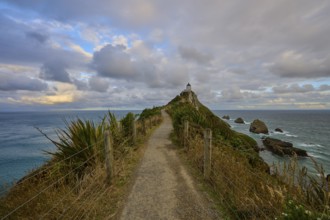 A path on a cliff leads to a lighthouse under a dramatic sky, summer, Nugget Point Lighthouse,
