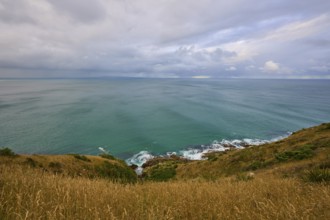 View of the open sea and the coast from grassy cliffs, summer, Nugget Point lighthouse, Ahuriri