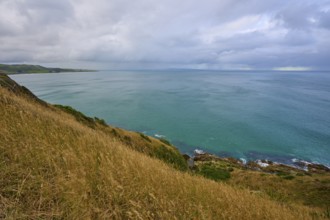Sweeping views over the sea from grassy cliffs under a cloudy sky, summer, Nugget Point Lighthouse,