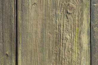 Detail of an old wooden door, texture, background, Münsterland, North Rhine-Westphalia, Germany