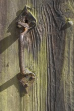 Old wooden door with iron fittings, Münsterland, North Rhine-Westphalia, Germany