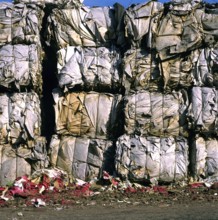 Large compressed bundles of paper products stand stacked at a recycling center, showcasing the