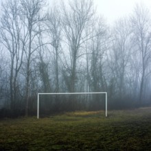 A soccer field shrouded in thick fog features a white goalpost in the foreground. Leafless trees
