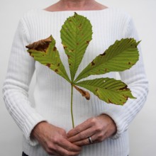 An elderly person stands with a large, partially damaged leaf, grasped gently in both hands. The