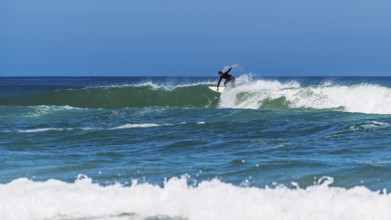 Surfer riding a wave on Contis beach, Saint Julien en Born, Saint-Julien-en-Born, Landes, France