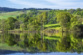 Farms over Esthwaite Water, Lake District National Park, Cumbria, England, United Kingdom