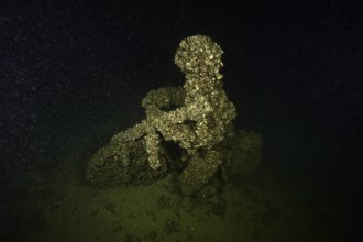 A cyclist was sunk in Lake Constance as an attraction for divers. It is now completely covered with