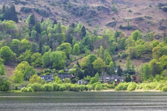 Grasmere Lake, Grasmere, Ambleside, Lake District, Westmorland, Cumbria, England, United Kingdom