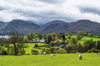 Farms, Ullswater Lake, Lake District National Park, Cumbria, England, United Kingdom
