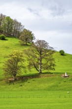 Farms, Ullswater Lake, Lake District National Park, Cumbria, England, United Kingdom