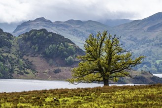 Farms and Mountains over Ullswater Lake, Lake District National Park, Cumbria, England, United