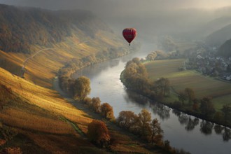 Hot air balloon, over a golden Moselle bend on a sunny autumn day, colourful vineyards along the