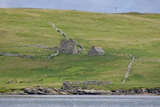Stone ruins lie in a green hilly landscape, Noss, Shetland Islands, Scotland, Great Britain