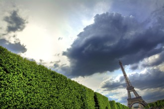 Clouds blanket the sky above the Eiffel Tower, creating a striking contrast with the greenery below