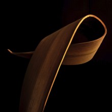 Intricate floral arrangement features gracefully curved leaves highlighted against a black