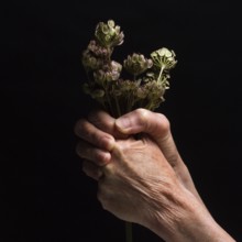 A pair of hands grips a bundle of dried flowers, showcasing detailed textures and the contrast