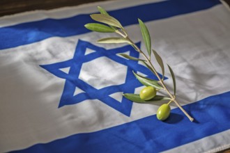 Olive branch placed on Israeli flag. Symbol of peace, diplomacy, and hope for resolution in Israel.
