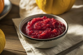 Close up of small bowl with finely pureed cranberry sauce on simple Thanksgiving table. Symbol of