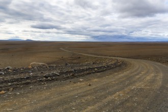 Highland road F-35, gravel track Kjalvegur Kjölur leads through barren stony volcanic landscape,