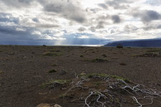 Barren stony volcanic landscape at Kjalvegur Kjölur, sparse vegetation, dramatic cloudy sky,