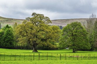 Farms, Pooley Bridge, Ullswater Lake, Lake District National Park, Cumbria, England, United Kingdom