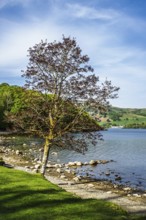 Lake Windermere, Wray Castle, Ambleside, Lake District, Cumbria, England, United Kingdom
