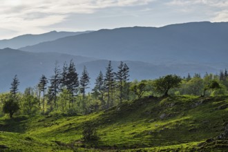Mountains in Lake District National Park over Coniston Water, Cumbria, England, United Kingdom
