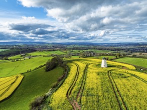 Rapeseed fields and Farms over Devon Windmill from a drone, Torquay, Devon, England, United Kingdom