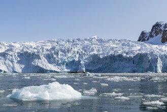 Glacier tongue, ice block in front of a break-off edge, sea, Fugelfjorden, Spitsbergen, Svalbard