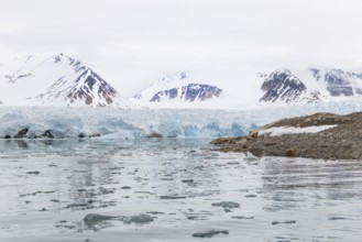 Ice in front of glacier tongue, sea, mountain range, Smeerenburgbreen, Spitsbergen, Svalbard