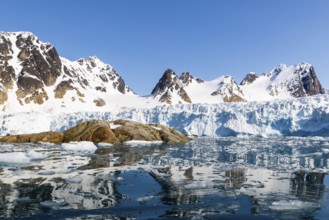 Glacier tongue, ice in front of a break-off edge, mountain range, sea, Fugelfjorden, Spitsbergen,