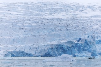Glacier tongue, sea, Smeerenburgbreen, Spitsbergen, Svalbard
