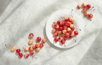 Yellow cherries on a white platter, scattered on the table, natural light, top view