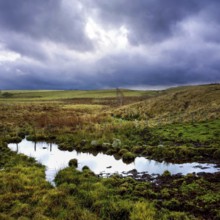 A tranquil stream meanders through the lush countryside of the Cezallier massif in Puy de Dome.