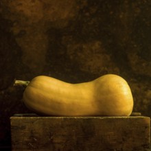 A butternut squash stands upright, showcasing its sleek curves and warm hues. The background's rich