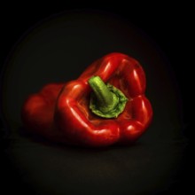 The vibrant red bell pepper, with its glossy skin, is positioned on a rich black background,