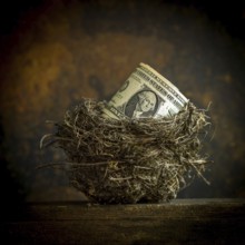 A rolled dollar bill sits comfortably within a natural nest made of twigs and grass, highlighting
