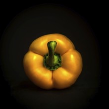 A bright yellow bell pepper showcases its glossy skin with a green stem, beautifully contrasting