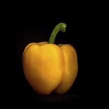 A yellow bell pepper is prominently placed against a black background, highlighting its smooth skin