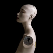 A head of a broken woman dummy is positioned in profile. The damaged surface reveals cracks and