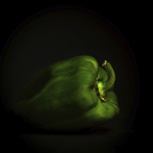 A vivid green bell pepper sits quietly on a black background, emphasizing its rich color and smooth