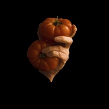A hand grips two uniquely shaped orange tomatoes against a dark background, highlighting their rich