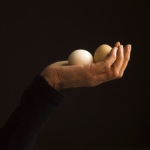 A hand holds two eggs delicately, emphasizing their round shapes and smooth textures. The contrast