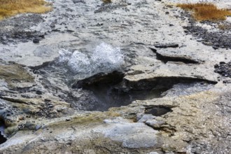 Hveravellir geothermal area, Icelandic highlands, Suðurland, Sudurland, Iceland