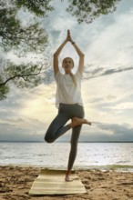 A woman performs a yoga pose on a mat at the water's edge, surrounded by nature. The sky glows with