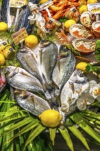 Fish market in Bayonne, Basque Country, Southwest France