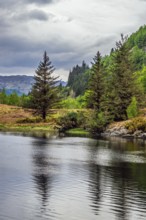 Ault a'chruinn, Loch Duich, Scotland, UK